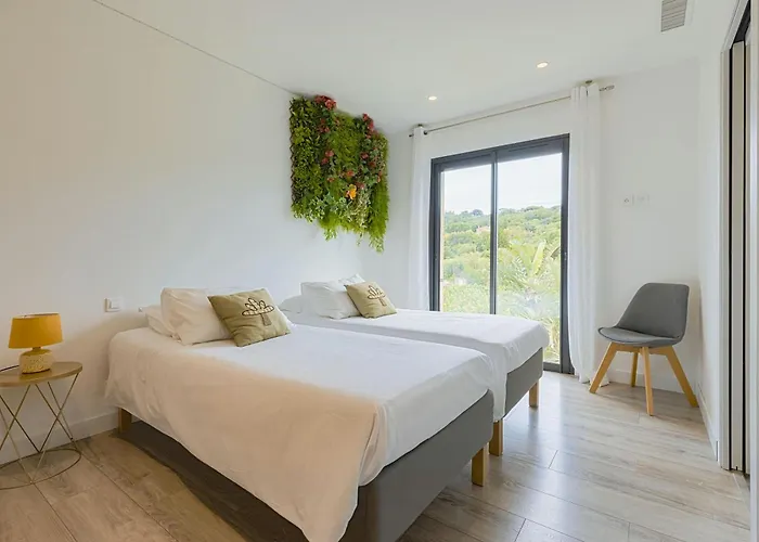 House With Pool And Vineyards In